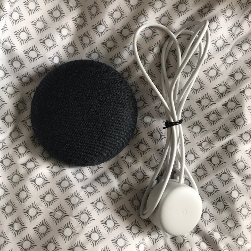 Brand new google home mini